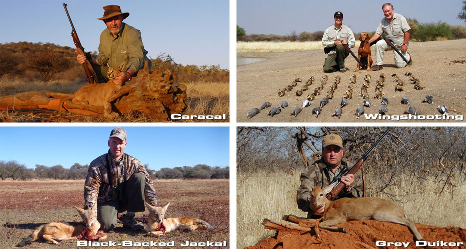 Africa Hunting Namibia
