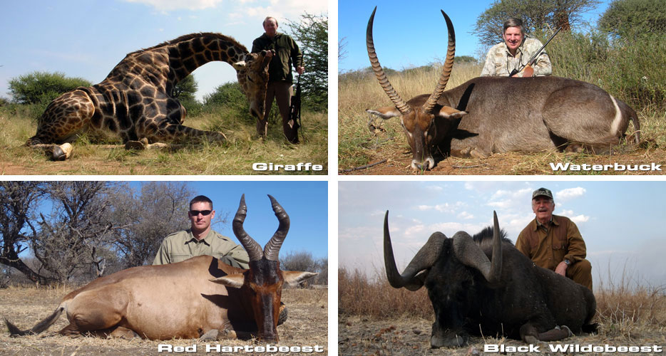 Hunting Namibia Africa