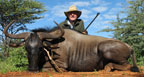 Hunting Africa Blue Wildebeest
