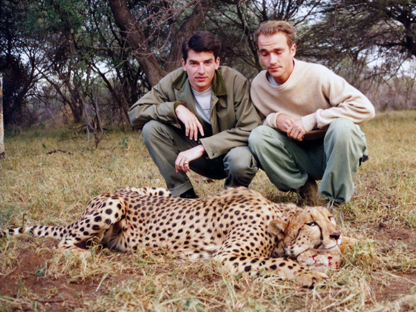 hunting-cheetah-031